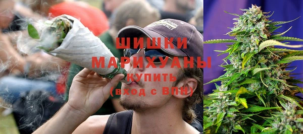 дмт Богородск