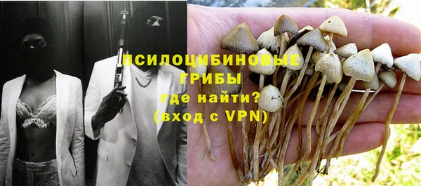 соль курить ск Богородицк