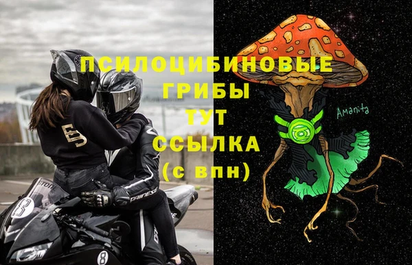 дмт Богородск