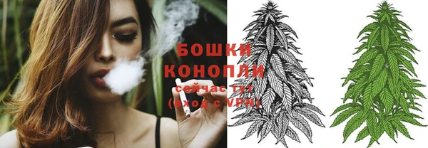 таблы Богданович
