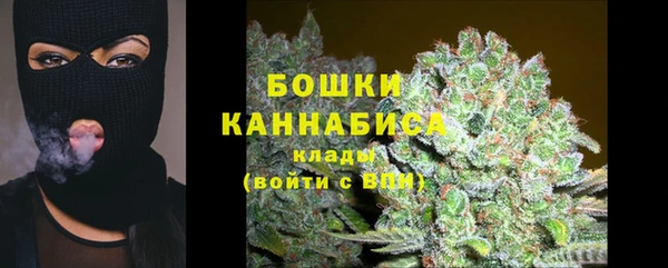 дмт Богородск